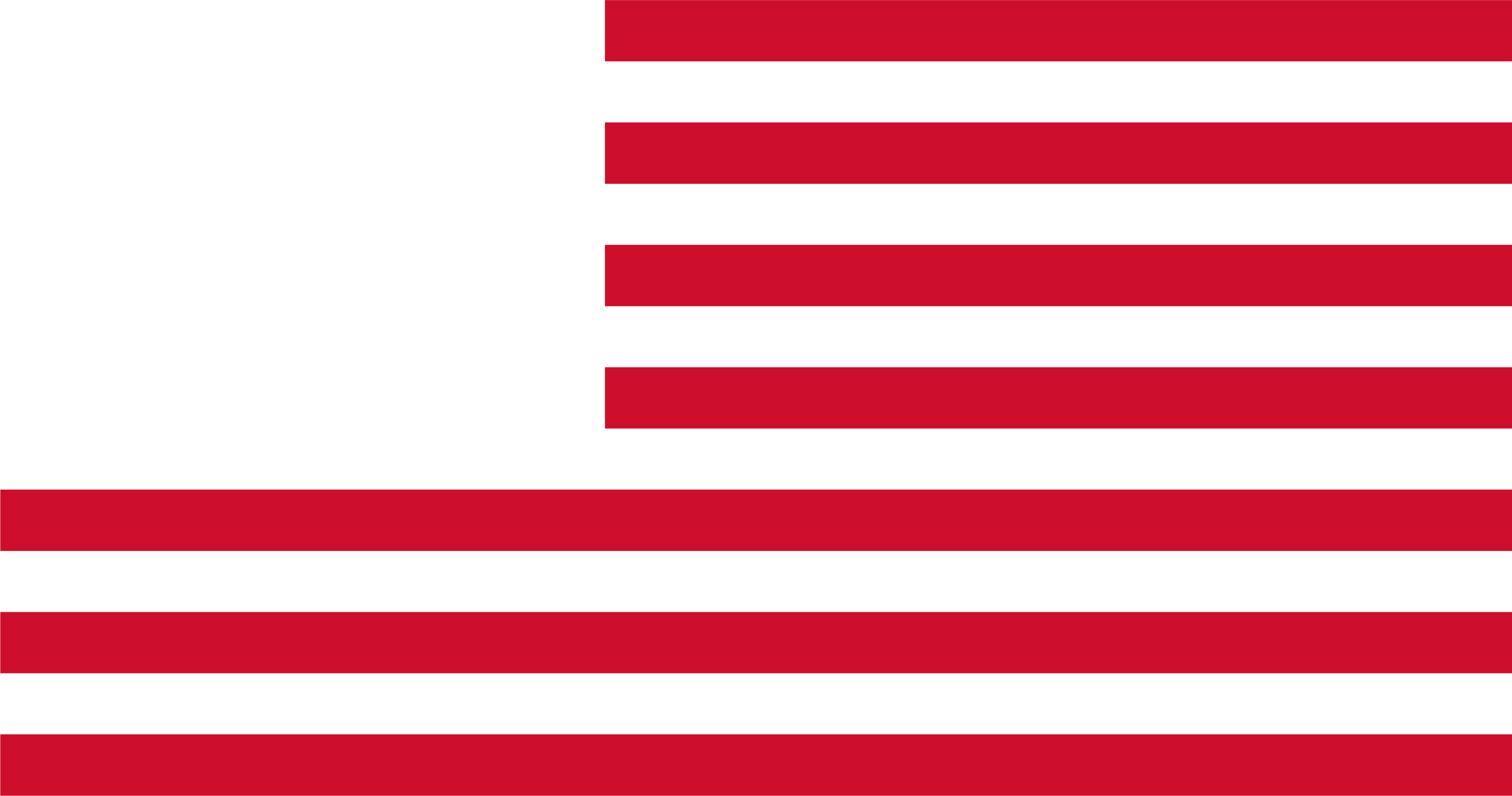 USA flag 02