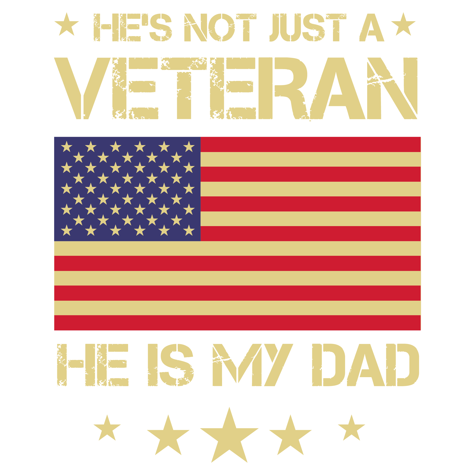 Veterans Day-29